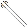 Black Diamond Trail Vista FLZ Trekking Poles