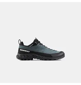 Mammut Mammut Alnasca IV Low LTH Shoe Men's