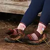 Darn Tough Critter Club Cushioned Lightweight Hiking Micro Crew Sock Women's 5001