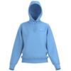 Arc'teryx Emblem Fleece Hoody Women's