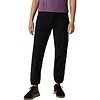 Mountain Hardwear Yumalina Fleeced Lined Pant Women's
