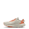 The North Face Altamesa 300 V2 Shoe Women's