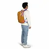 Osprey Daylite Backpack