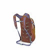 Osprey Daylite Backpack