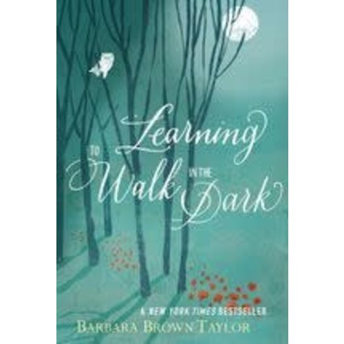 LEARNING TO WALK IN THE DARK by BARBARA BROWN TAYLOR LEARNING TO WALK IN THE DARK by BARBARA BROWN TAYLOR
