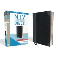 Bible/NIV/Thinline/Large Print