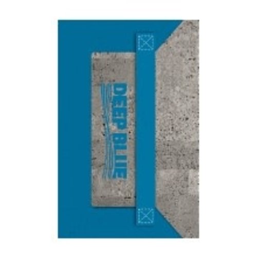 COMMON ENGLISH BIBLE (CEB) COMMON ENGLISH BIBLE (CEB)