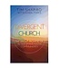 SHAPIRO, TIM Divergent Church: the Bright Promise of Alternative Faith Communities by Tim Shapiro