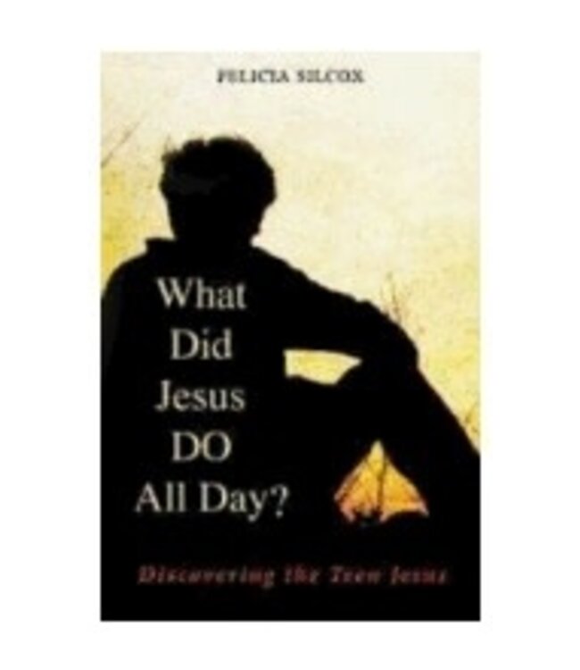 SILCOX, FELICIA What Did Jesus Do All Day: Discovering the Teen Jesus by Felicia Silcox