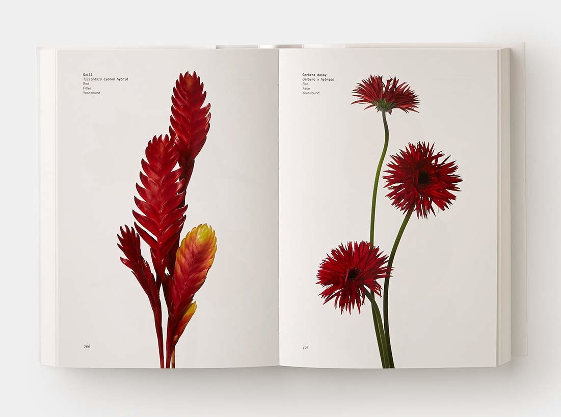 Flower Color Guide by Darroch Putnam And Michael Putnam The Cathedral