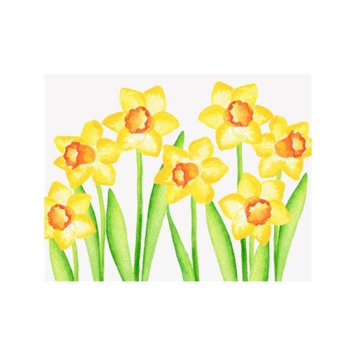 NOTE CARDS - DAFFODIL, Box of 8 NOTE CARDS - DAFFODIL, Box of 8