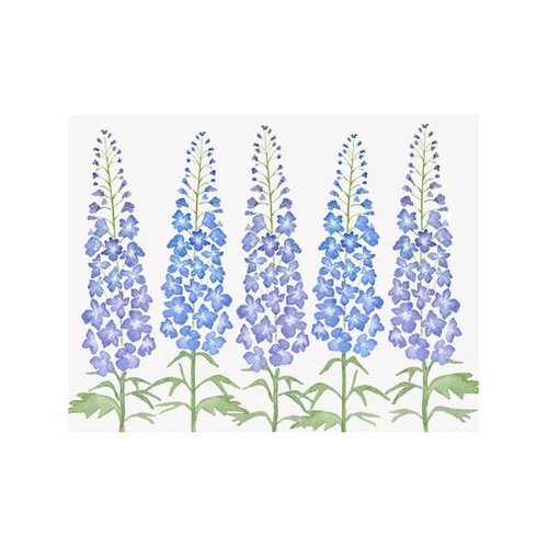 NOTE CARDS - DELPHINIUM, Box of 8 NOTE CARDS - DELPHINIUM, Box of 8