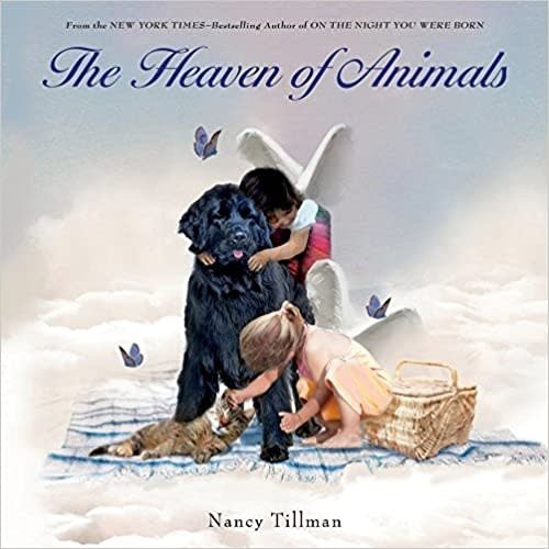 TILLMAN, NANCY HEAVEN OF ANIMALS by NANCY TILLMAN TILLMAN, NANCY HEAVEN OF ANIMALS by NANCY TILLMAN