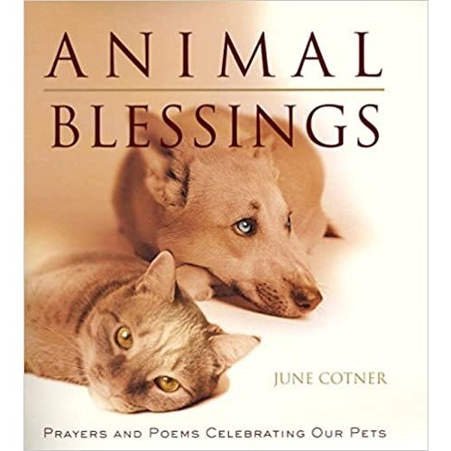 ANIMAL BLESSINGS: PRAYERS AND POEMS CELEBRATING OUR PETS by JUNE COTNER ANIMAL BLESSINGS: PRAYERS AND POEMS CELEBRATING OUR PETS by JUNE COTNER