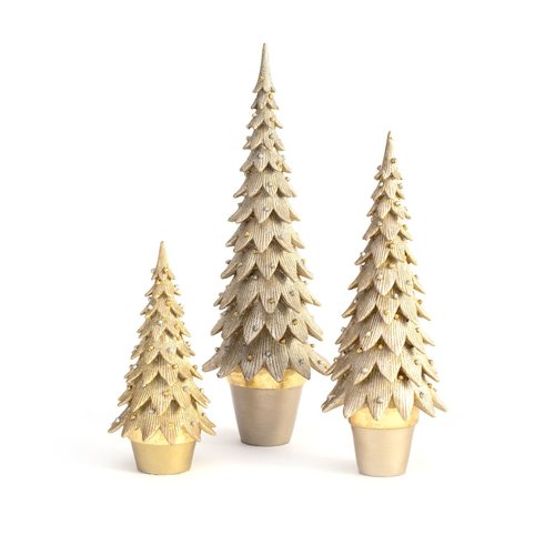 Tannenbaum Cone Tree Tannenbaum Cone Tree