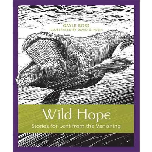 Wild Hope : Stories For Lent From the Vanishing by Gayle Boss