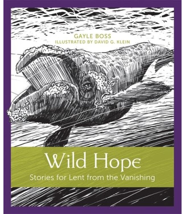 Wild Hope : Stories For Lent From the Vanishing by Gayle Boss