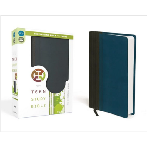 RICHARDS, LAWRENCE & SUE NIV, Teen Study Bible (GRAPHITE/BLUE) RICHARDS, LAWRENCE & SUE NIV, Teen Study Bible (GRAPHITE/BLUE)