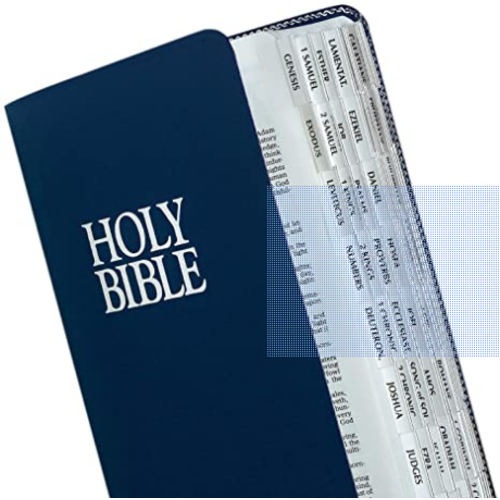 TABBIES Bible Tab-Protestant-Slv & Blk: Classic Silver-Edged Bible Tabs