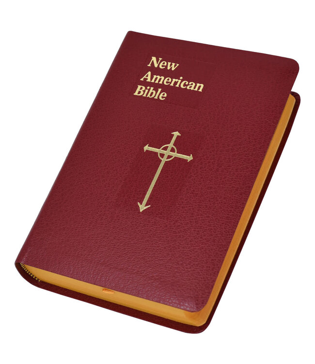 CONFRATERNITY OF CHRISTIAN DOCTRINE St. Joseph New American Bible Revised (Personal Size Gift Edition)