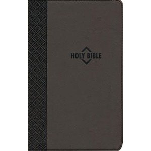NRSV, Premium Gift Bible, Brown Leathersoft  by ZONDERVAN