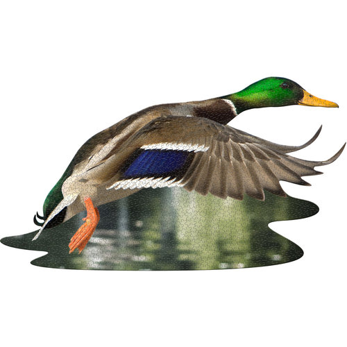 MADD CAPP 1000 Piece Puzzle I AM DUCK MADD CAPP 1000 Piece Puzzle I AM DUCK