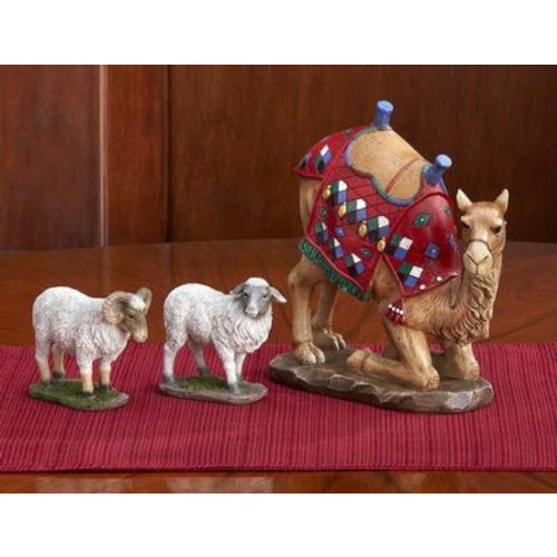 Three Kings Gifts Kneeling Camel and Two Awassi Sheep for Real Life Nativity Three Kings Gifts Kneeling Camel and Two Awassi Sheep for Real Life Nativity