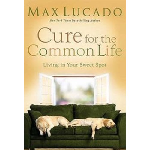Thomas Nelson Cure for the Common Life by Max Lucado Thomas Nelson Cure for the Common Life by Max Lucado