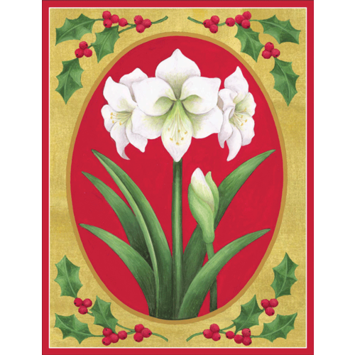 White Amaryllis Boxed Christmas Cards BY CASPARI White Amaryllis Boxed Christmas Cards BY CASPARI