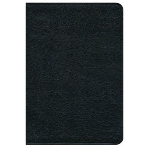 Premium Bible-NRSV by COKESBURY New Revised Standard, New Living - Premium Gift Bible: Black