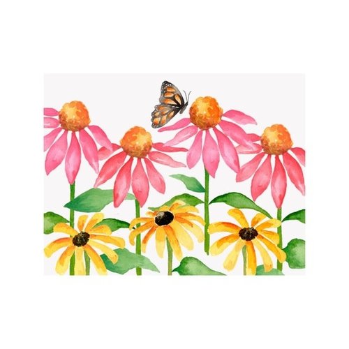 Coneflower & Black Eyed Susan Note Cards Box of 8 Coneflower & Black Eyed Susan Note Cards Box of 8