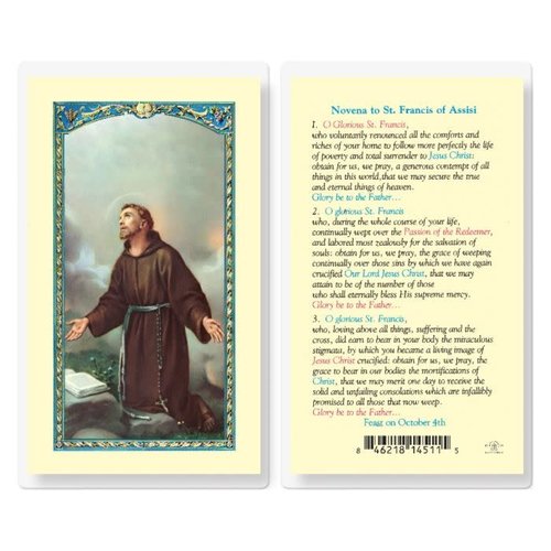 Novena to Saint Francis Holy Card