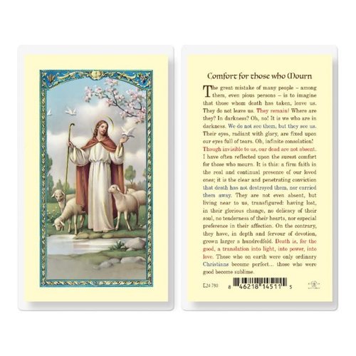 Comfort for Those Who Mourn Holy Card