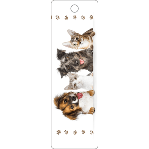IT TAKES TWO BOOKMARK DOGS AND CATS IT TAKES TWO BOOKMARK DOGS AND CATS