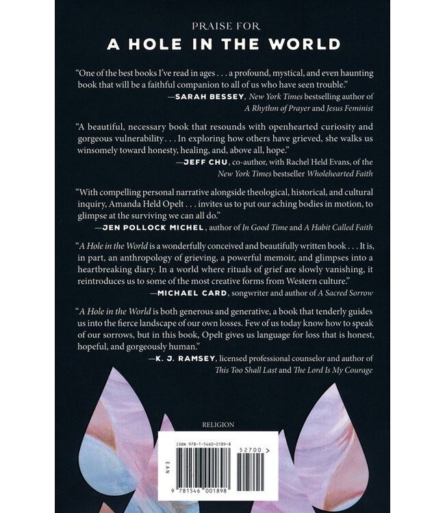 A Hole In the World: Finding Hope In Rituals of Grief And Healing  by Amanda Held Opelt