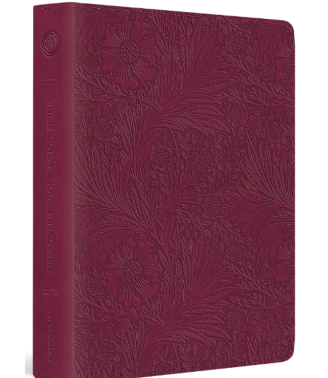 ESV Single Column Journaling Bible