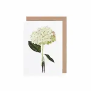 Green Hydrangea Greeting Card