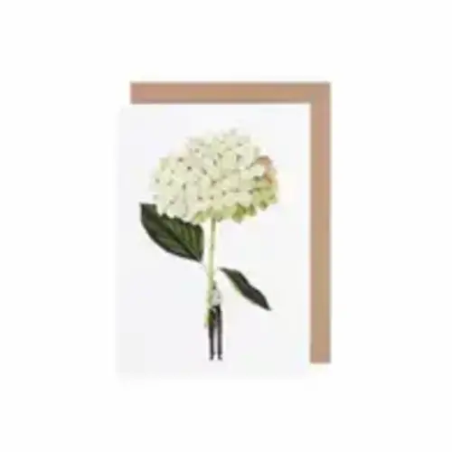 Green Hydrangea Greeting Card