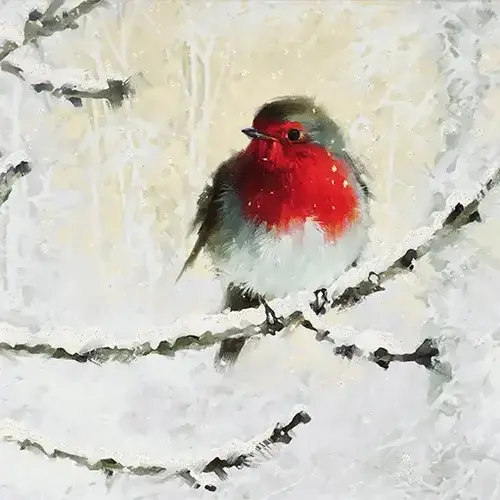 English Robin in Winter Deluxe Boxed Holiday Cards