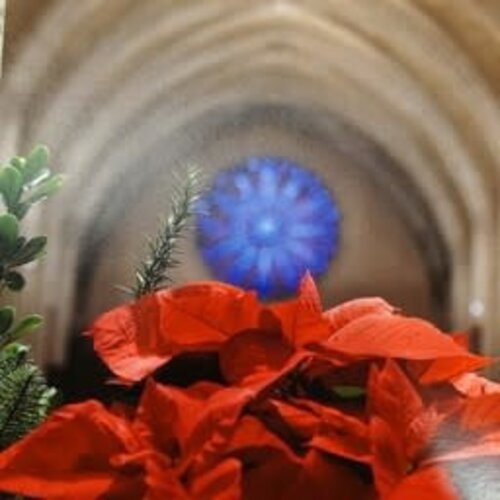Cathedral Christmas Cards (individual)