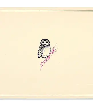 Note Cards Owl by Peter Pauper Press