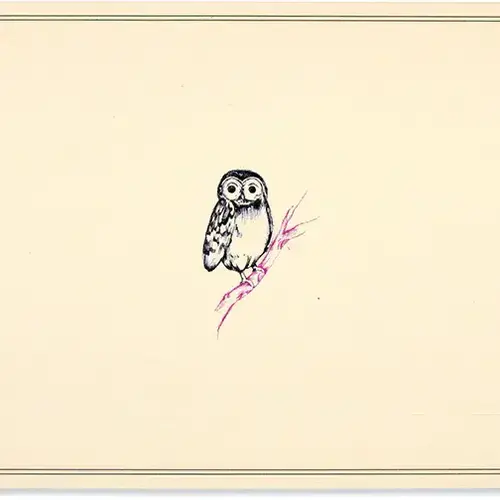 Note Cards Owl by Peter Pauper Press