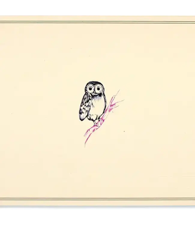 Note Cards Owl by Peter Pauper Press