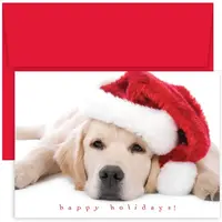 Santa Puppy Boxed Holiday Cards from Masterpiece Studios