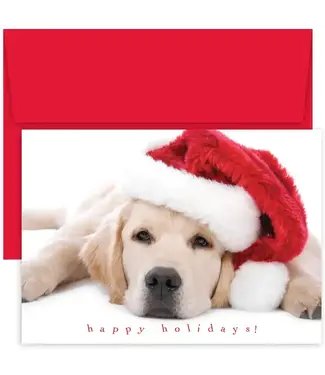 Santa Puppy Boxed Holiday Cards from Masterpiece Studios