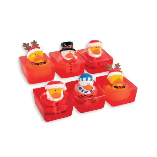 Duck Pond assorted holiday soaps for kids (favorites)