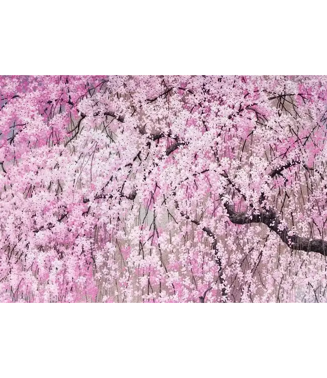 Cherry Blossoms Note Cards