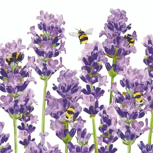 Bev-Bees & Lavender