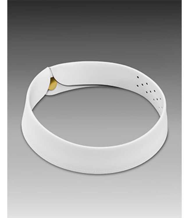 Clerical Collar