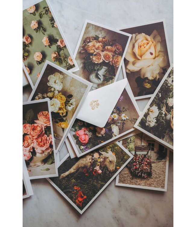 May Roses - Boxed Set of 10 Cards & Envelopes